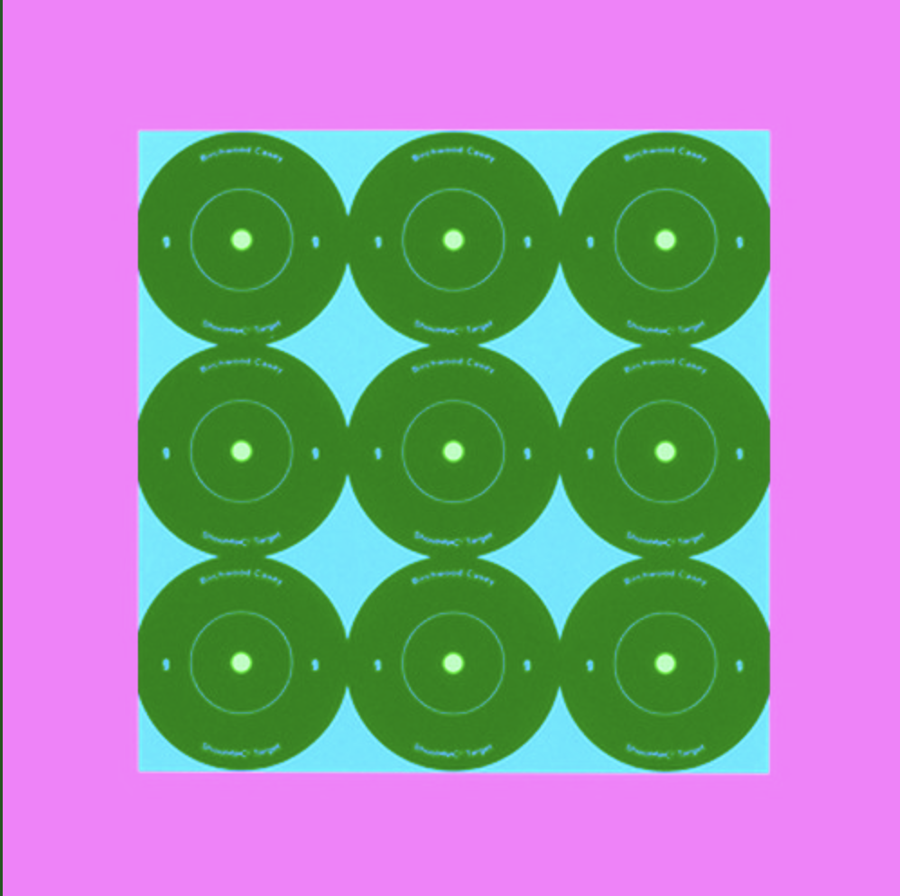 Birchwood Casey Target Shoot-N-C Rnd 2  (1 Sheet/9T)