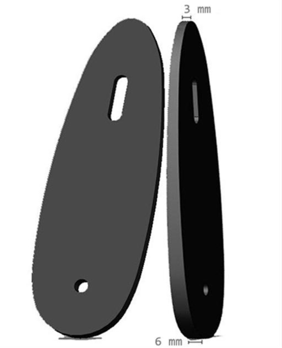 Cervellati Spacer Between Stock And Recoil Pad