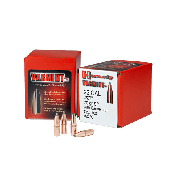 Hornady 30-110Gr Sp (100)