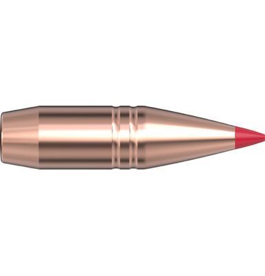 Hornady 375 Cal .375 250 gr CX®