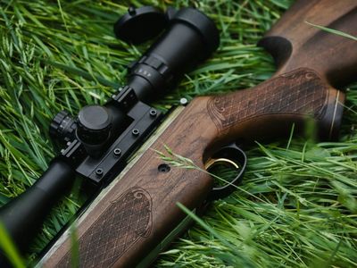Air Rifles