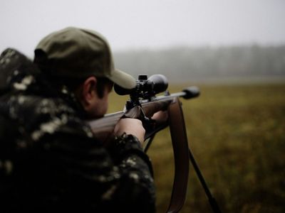 Gun Accessories