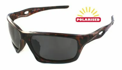 Evolution Treviso Tortoise