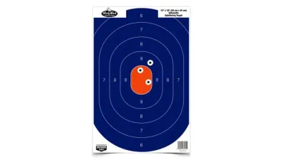 Birchwood Casey Target Darkotic 12X18 Sil Bio