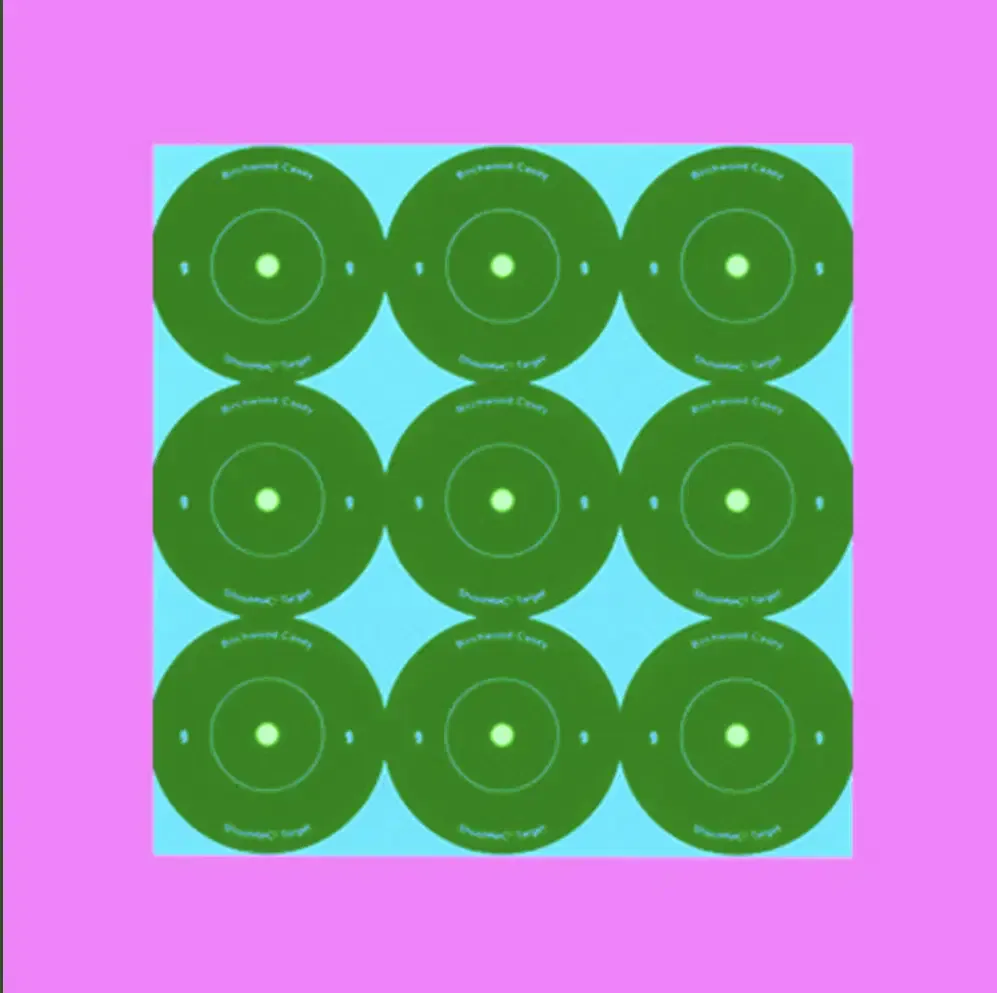 Birchwood Casey Target Shoot-N-C Rnd 2  (1 Sheet/9T)
