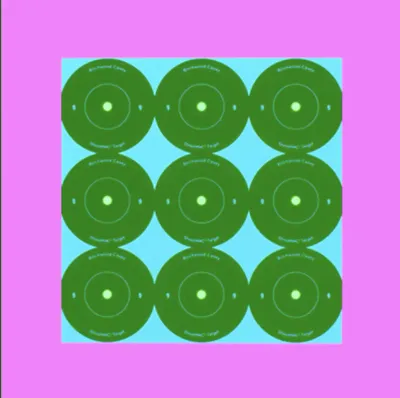 Birchwood Casey Target Shoot-N-C Rnd 2  (1 Sheet/9T)