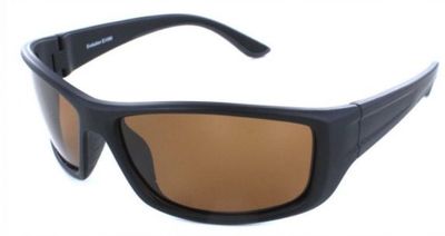 Evolution Eyewear Rockport