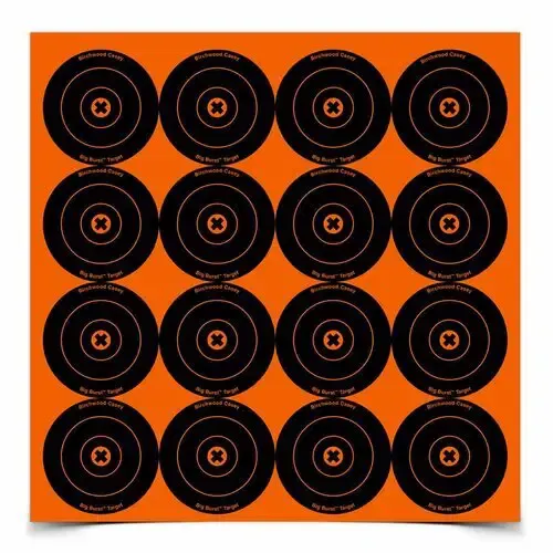 Birchwood Casey Big Burst B/Eye 3" Target (48)