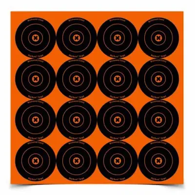 Birchwood Casey Big Burst B/Eye 3" Target (48)