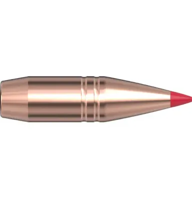 Hornady 375 Cal .375 250 gr CX®