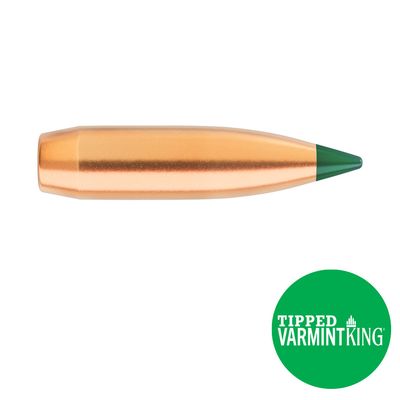 Sierra 90 gr. BlitzKing .25 Caliber Bullet