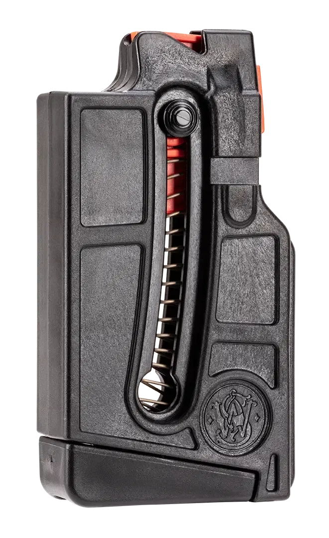 Smith &amp; Wesson M&amp;P 15-22 Short Magazine 22LR 10 Round