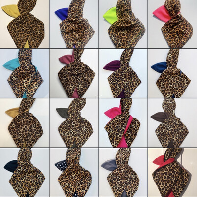 Leopard Colours 