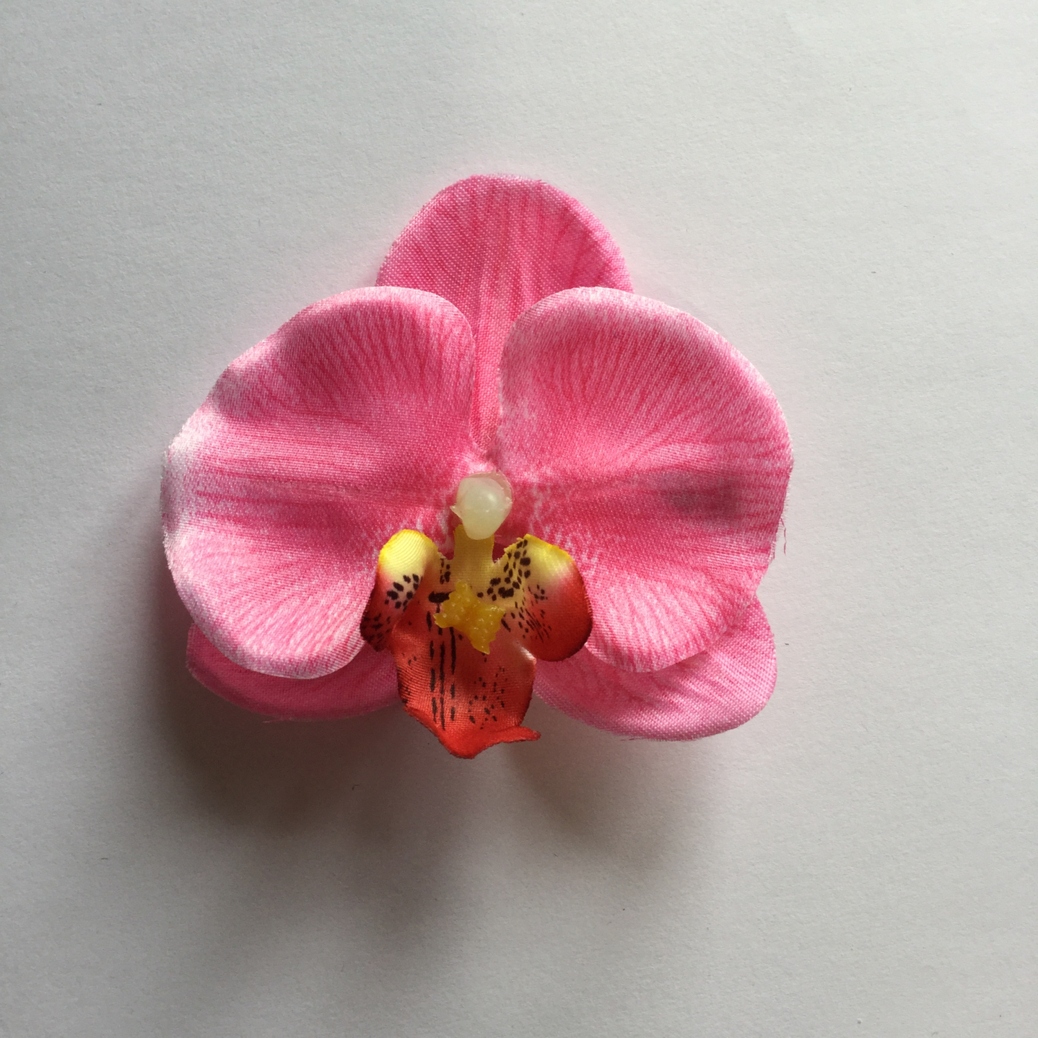 Pink mini orchid