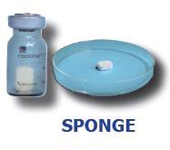 Single Vial Fisiograft Bone Graft Material (Sponge)