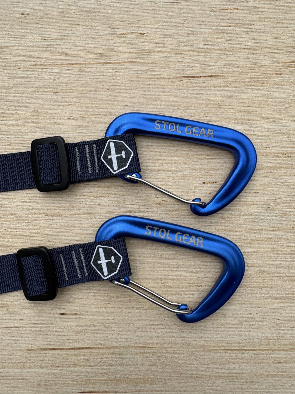 Adjustable Anchor Strap &amp; Carabiner