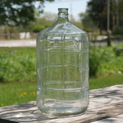 6 gal carboy