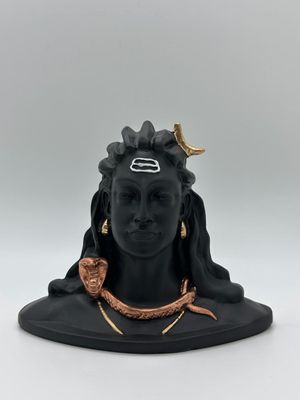 Adiyogi