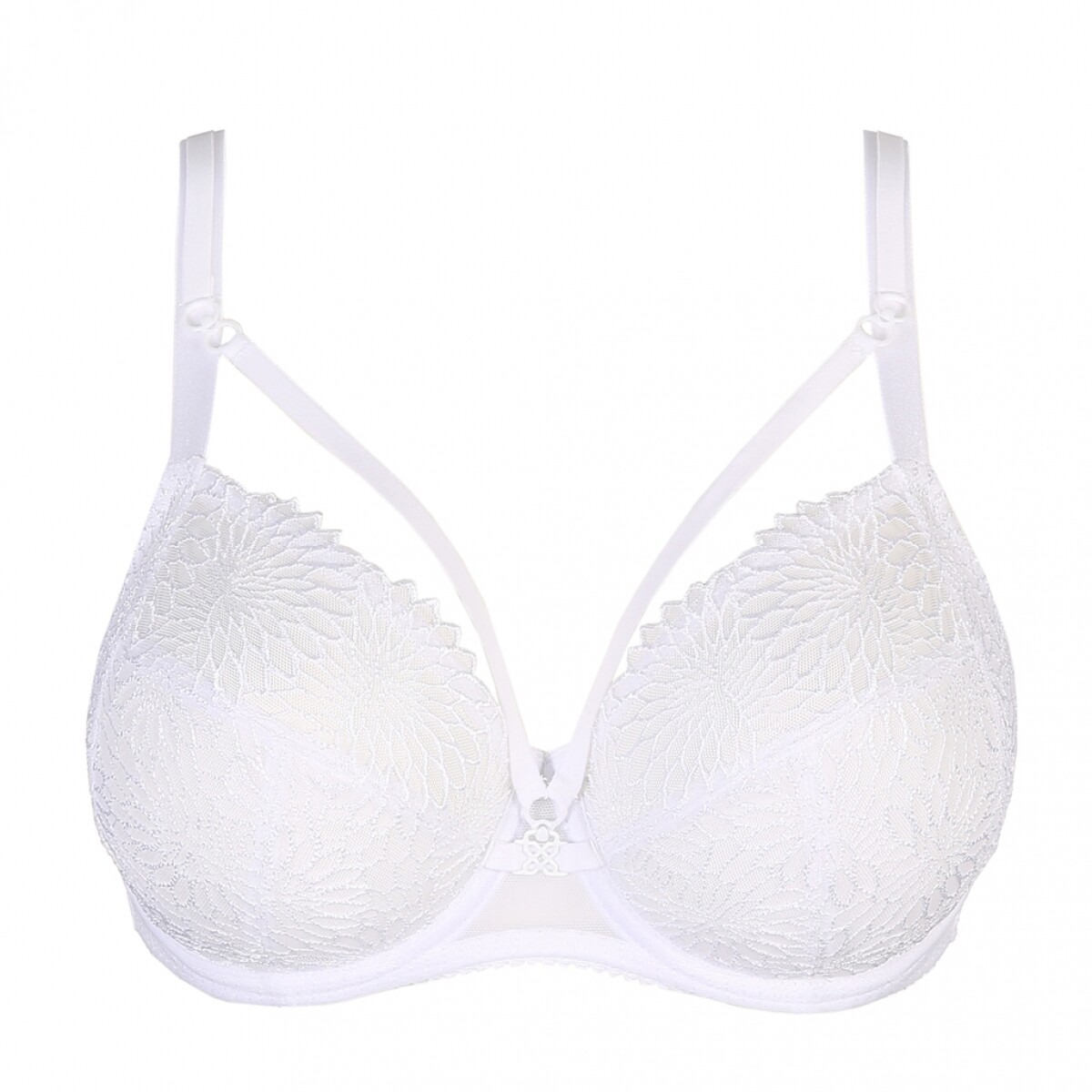 Beugelbh Sophora
(cup B-E)