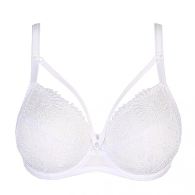 Beugelbh Sophora
(cup B-E)