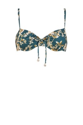 Bikinitop Vintage Spring