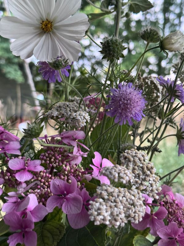 Creative Printmaking Summer School July 2026 | Rowde, Devizes, Wiltshire