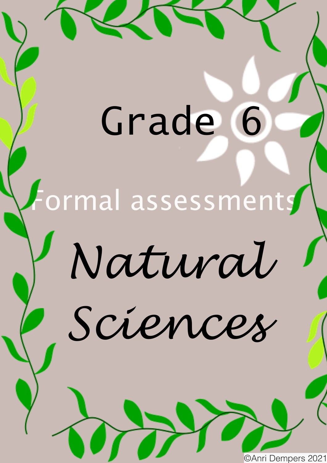 grade-6-ns-assessment-bundle