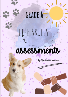 Grade 6 PSW Term 3 Assessments (2022)