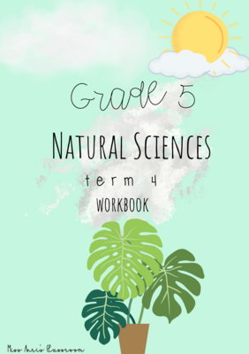 Grade 5 Natural Sciences term 4 workbook (2022)