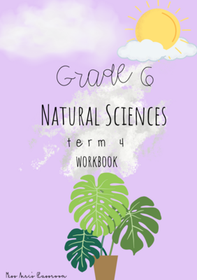 Grade 6 Natural Sciences term 4 workbook (2022)