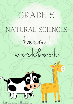 Grade 5 Natural Sciences term 1 workbook (2022)
