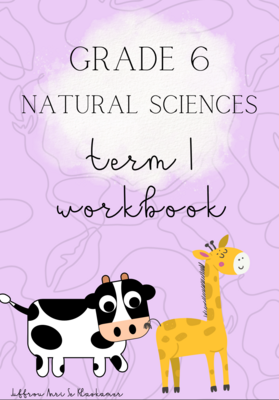 Grade 6 Natural Sciences term 1 workbook (2022)