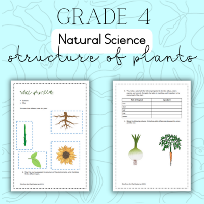 Grade 4 NS Structure of plants