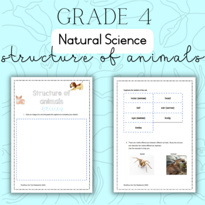 Grade 4 NS Structure of animals