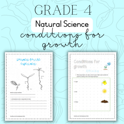 Grade 4 NS Conditions for growth