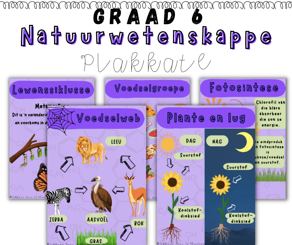 Graad 6 Natuurwetenskappe Kwartaal 1 Plakkate