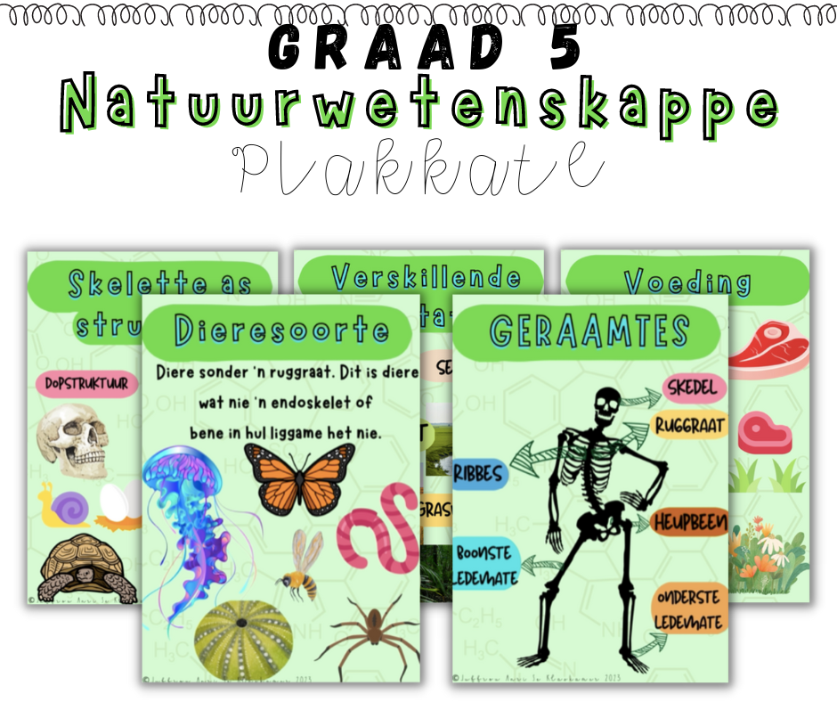 Graad 5 Natuurwetenskappe Kwartaal 1 Plakkate