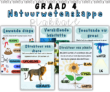 Graad 4 Natuurwetenskappe Kwartaal 1 Plakkate