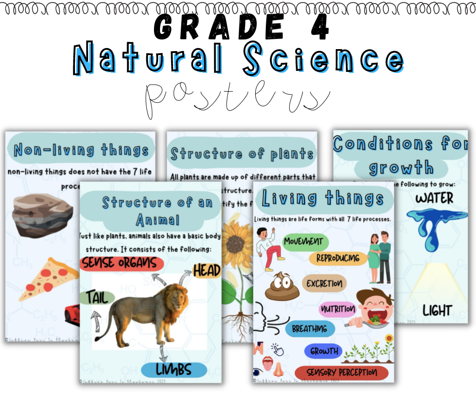 Grade 4 Natural Science Term 1 Posters