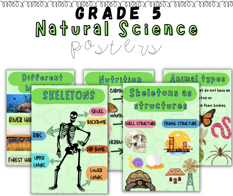 Grade 5 Natural Science Term 1 Posters