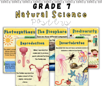 Grade 7 Natural Science Term 1 Posters