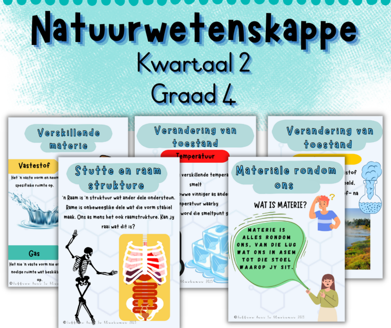 Graad 4 Natuurwetenskappe kwartaal 2 plakkate