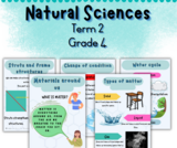 Grade 4 Natural Sciences term 2 posters