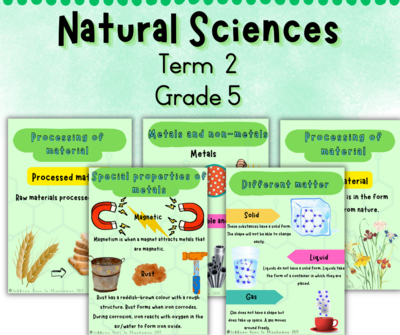 Grade 5 Natural Sciences term 2 posters