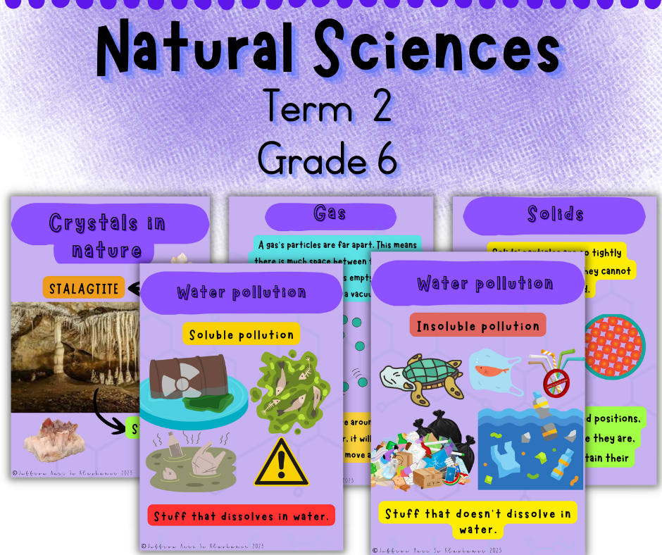 Grade 6 Natural Sciences term 2 posters