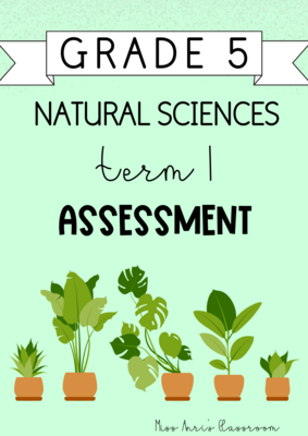 Grade 5 Natural Sciences Term 1 Assessment (2024)