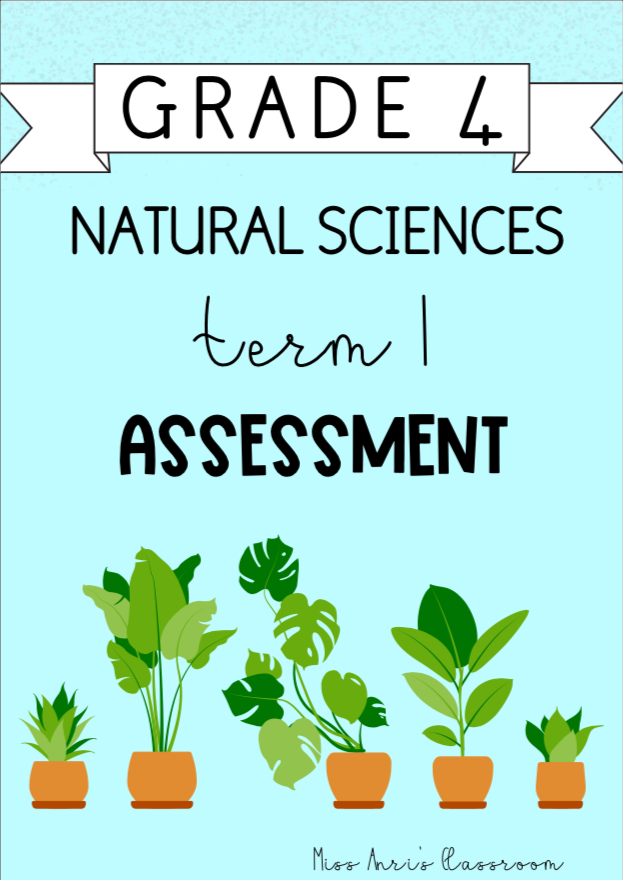 Grade 4 Natural Sciences Term 1 Assessment (2024)