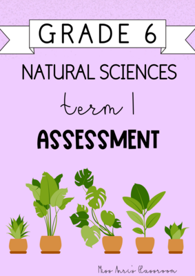 Grade 6 Natural Sciences Term 1 Assessment (2024)