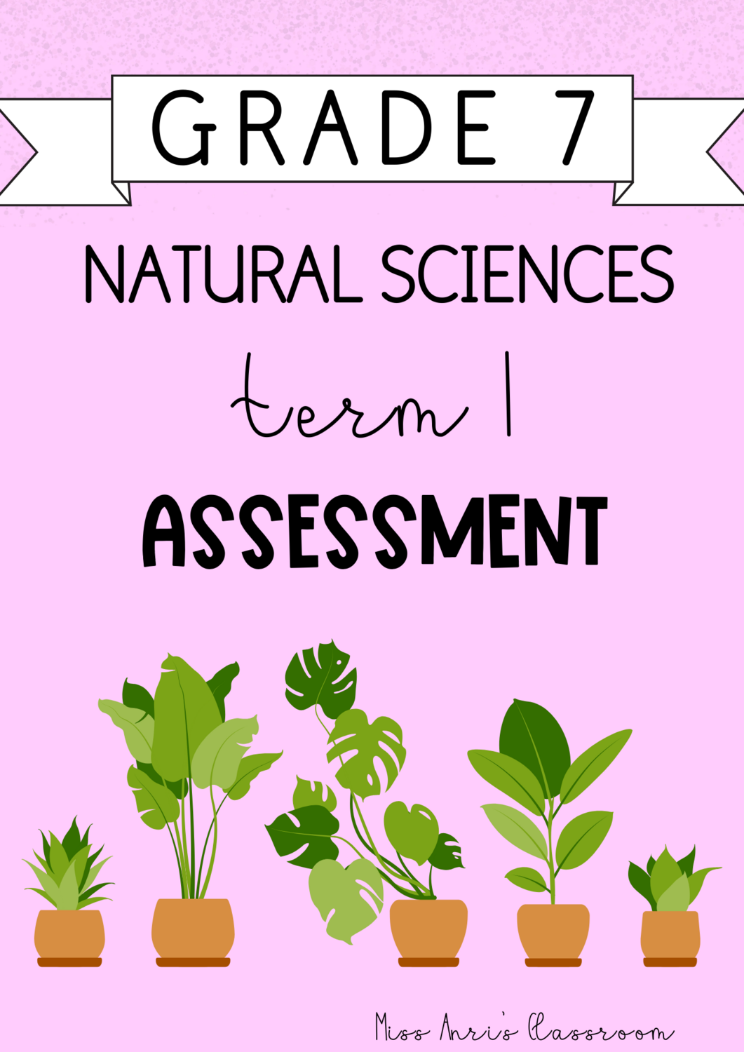 Grade 7 Natural Sciences Term 1 Assessment (2024)