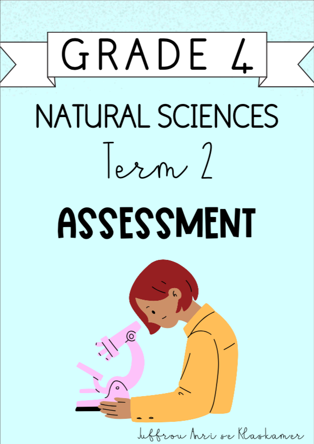 Grade 4 Natural Sciences Term 2 Assessment (2024)